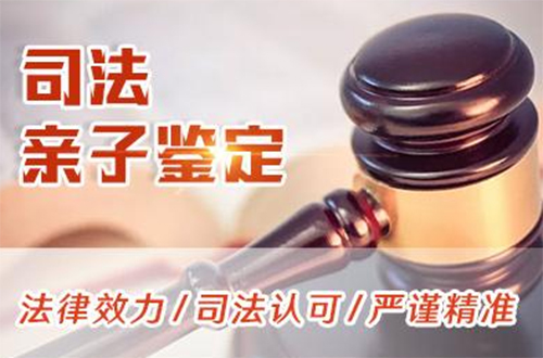 防城港司法DNA鉴定大概价格,防城港专业司法亲子鉴定机构